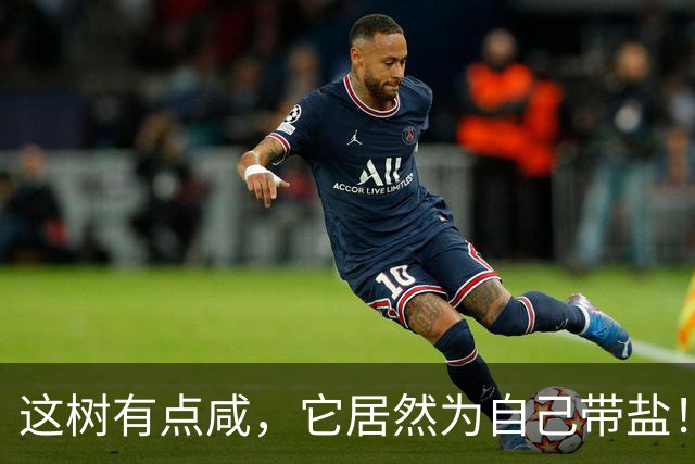 这树有点咸，它居然为自己带盐！古人没盐了就找这种树救急！
